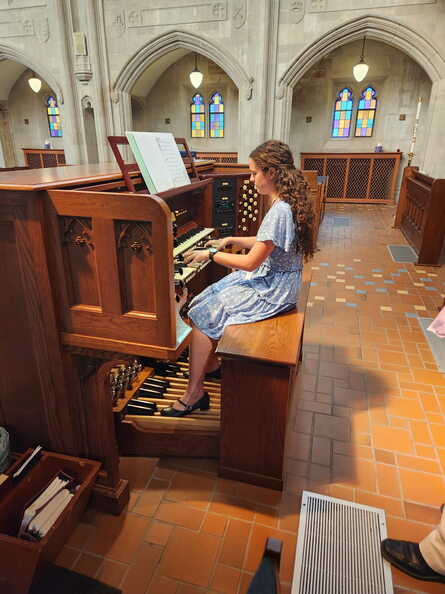 Organ-3.jpg