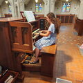 Organ-3