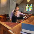 Organ5