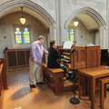 Organ13