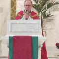 Pontifical12